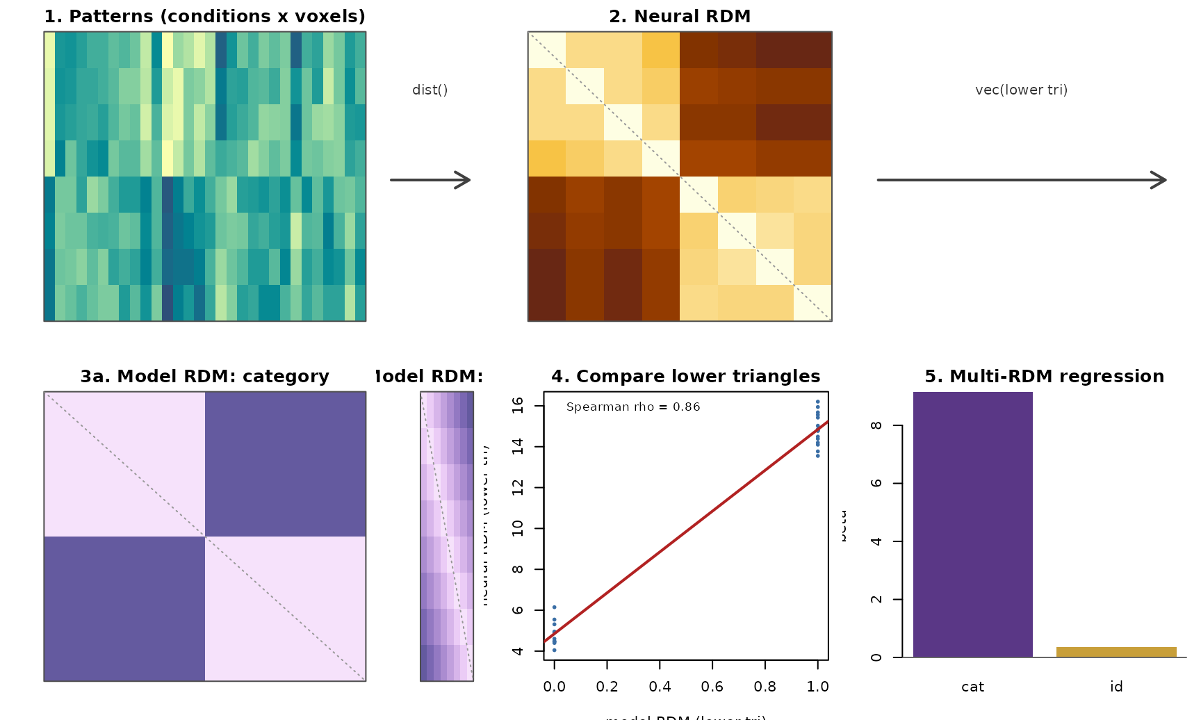 Standard RSA in five panels. (1) condition x voxel patterns. (2) neural RDM. (3a/3b) two model RDMs (category, identity). (4) lower-triangle scatter of model vs neural with Spearman rho. (5) coefficients from a multi-RDM regression of the neural RDM on both model RDMs.