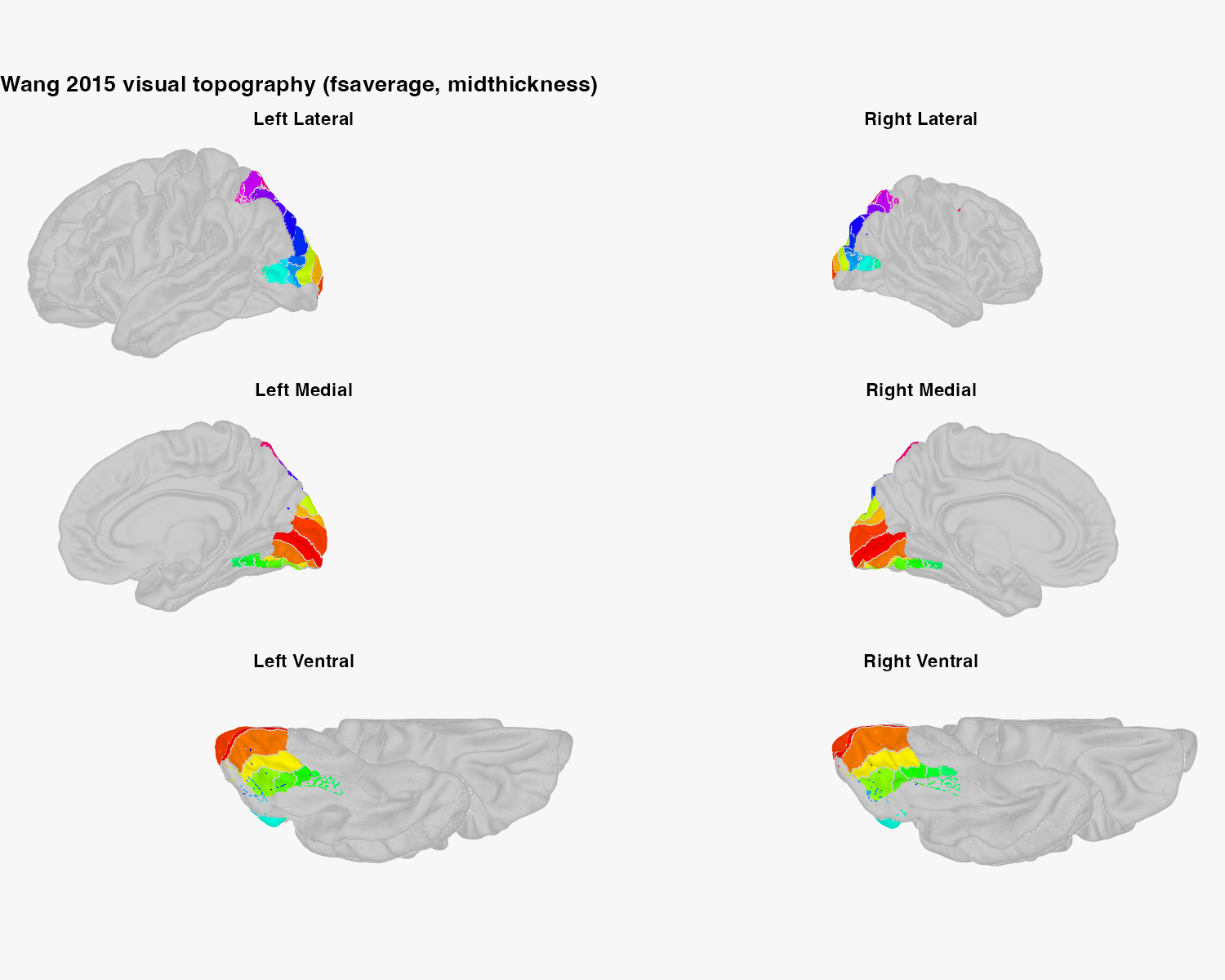 Wang visual areas shown on lateral, medial, and ventral views of both fsaverage hemispheres. Coloured visual areas occupy occipital, ventral, and parietal cortex on a light grey anatomical surface.