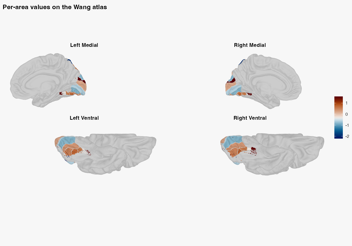 Synthetic area-level values mapped symmetrically onto medial and ventral views of the left and right Wang visual atlas, with a blue-to-orange response colorbar.