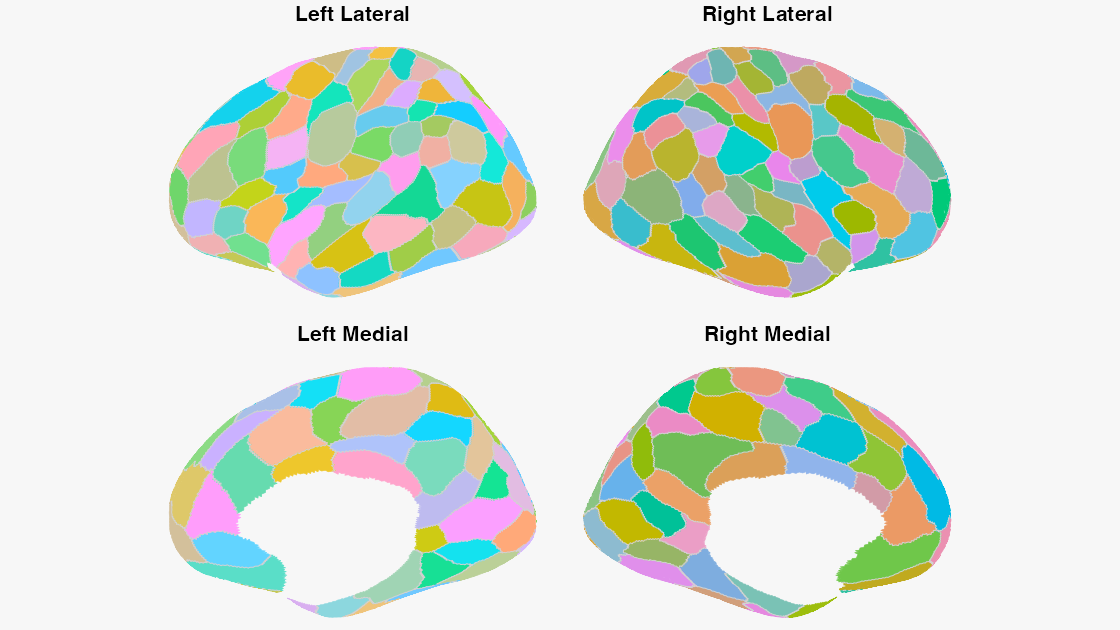 Schaefer-200 (7-network) parcellation on the fsaverage6 surface with a perceptually-optimised maximin colour palette; lateral and medial views of both hemispheres.