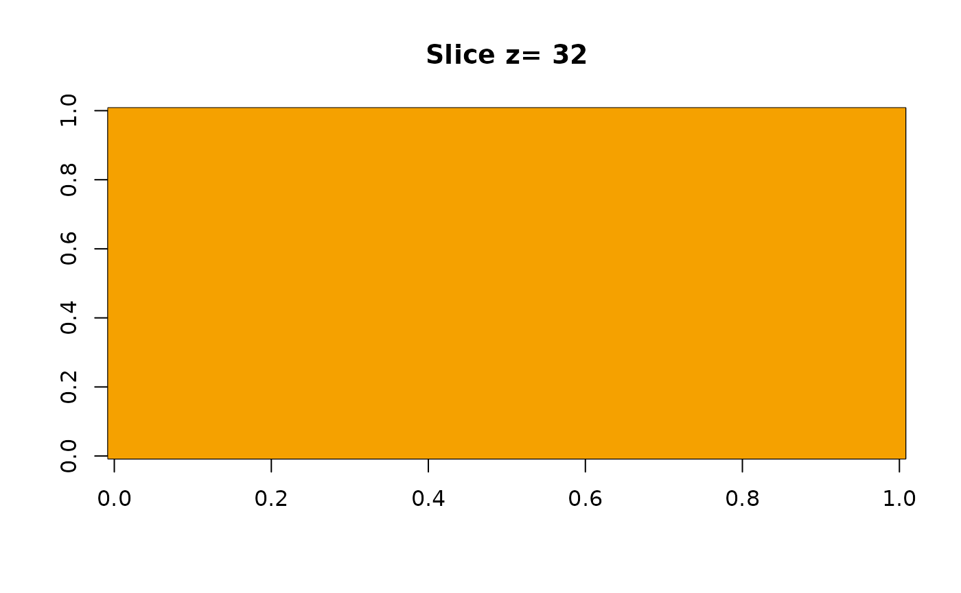 Mid-slice of example volume (grayscale image).