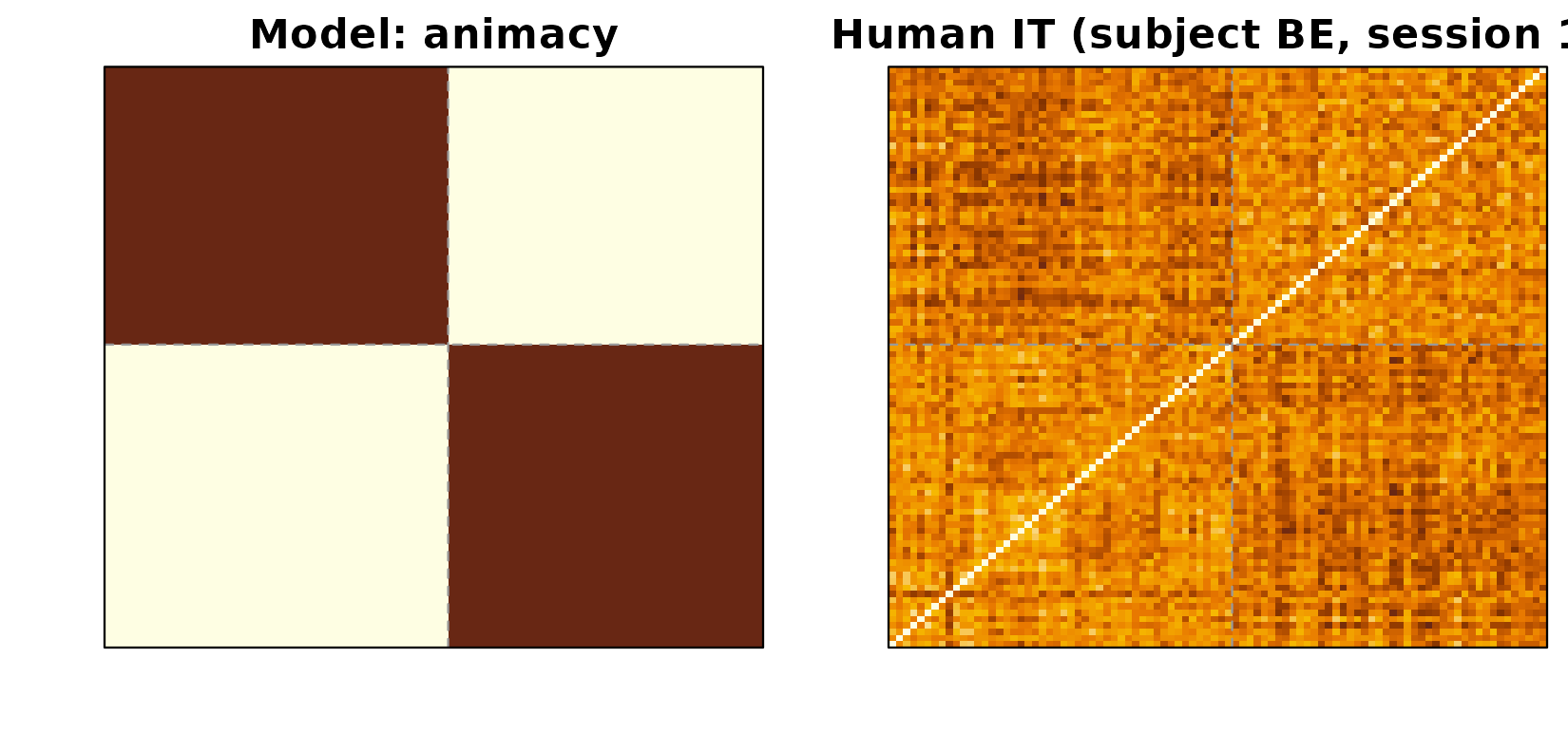 Left: animacy model RDM (block structure: animate vs inanimate). Right: subject BE's session-1 human-IT RDM. The same diagonal-block pattern is visible in both: items within the same animacy class are more similar than items across classes.